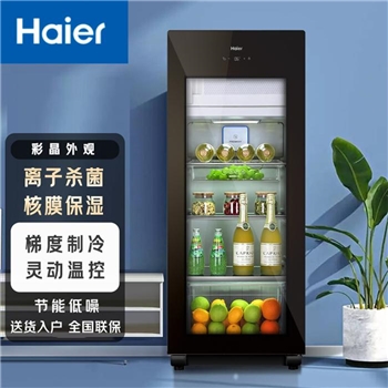 冰箱 海尔（Haier）DS0157DK 智能双温 157升透明冰柜